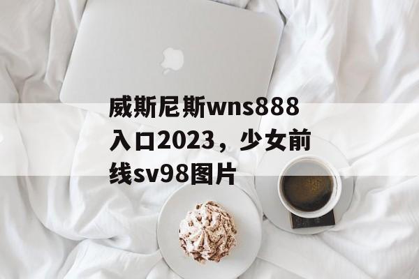 威斯尼斯wns888入口2023，少女前线sv98图片