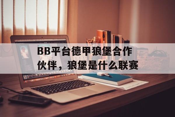 BB平台德甲狼堡合作伙伴，狼堡是什么联赛